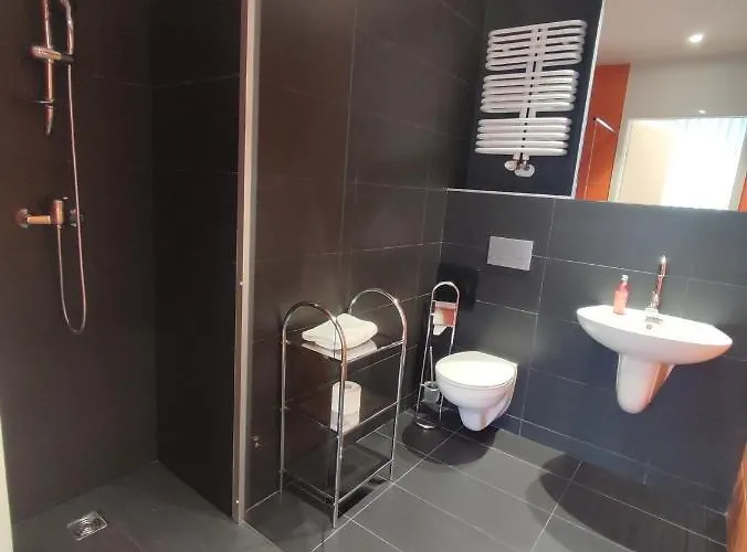 Esperanto 卡托维兹